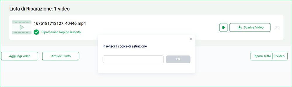 Inserisci il codice di estrazione, scarica il video riparato
